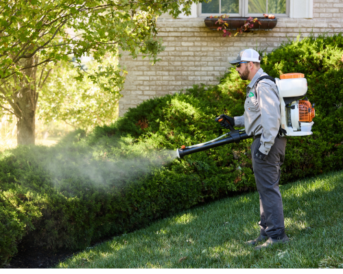 Mosquito Control image