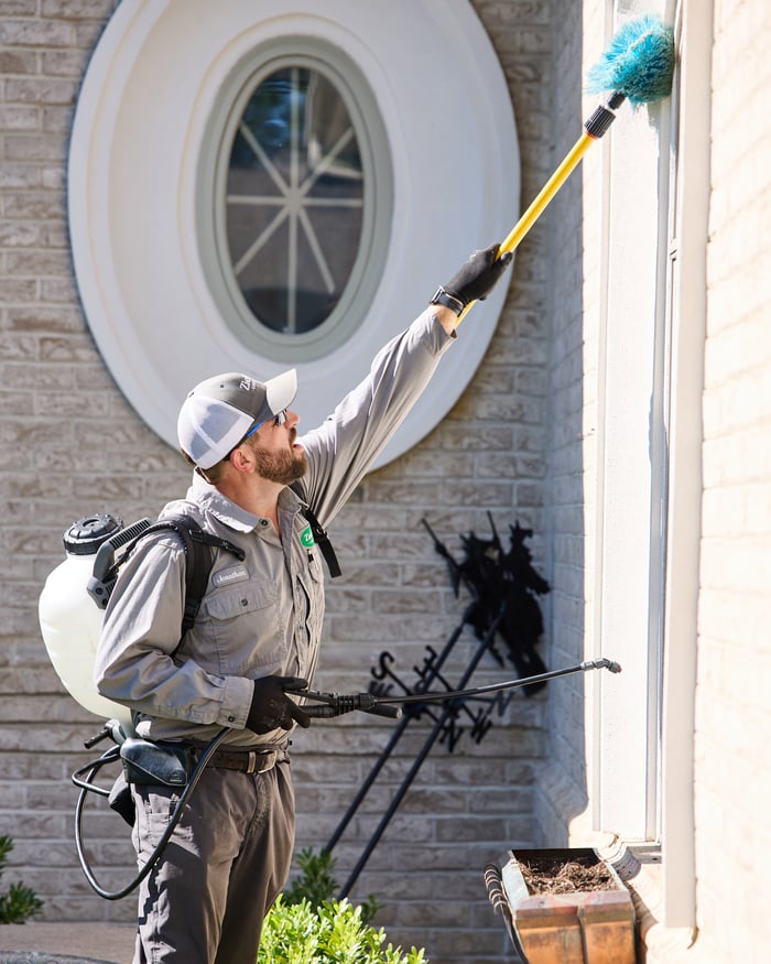 House Guard Insect Control Ziehler Lawn Care - Pest Care